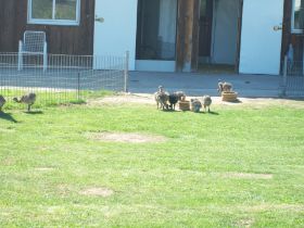 100_8905.JPG